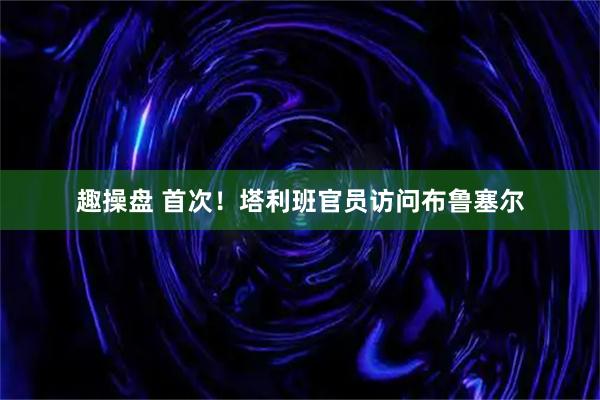 趣操盘 首次！塔利班官员访问布鲁塞尔