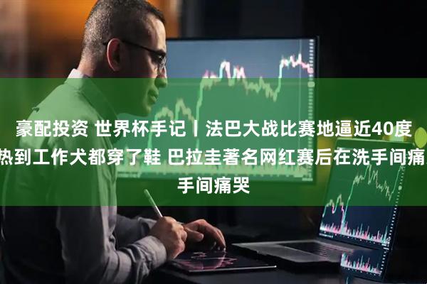 豪配投资 世界杯手记丨法巴大战比赛地逼近40度, 热到工作犬都穿了鞋 巴拉圭著名网红赛后在洗手间痛哭